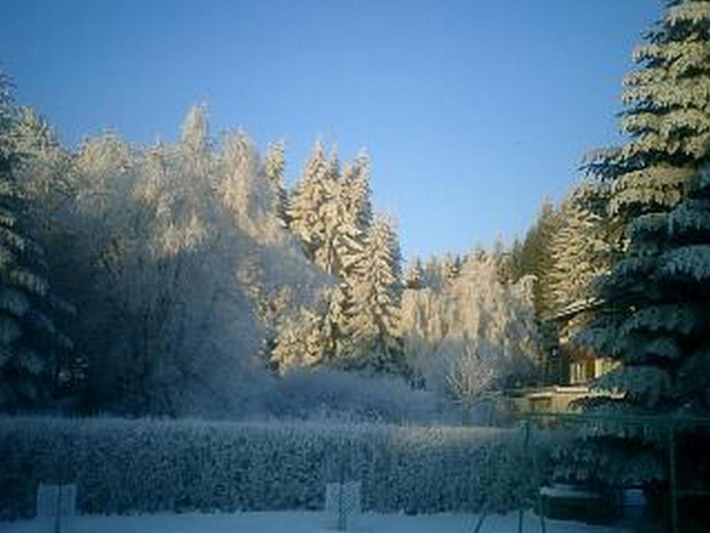 Ferienwohnung Zeidler Braunlage Pokoj fotografie